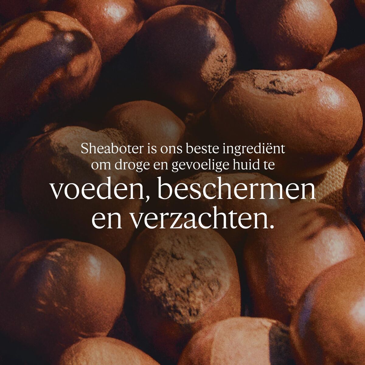 V2H98F2A69BDFE7B9A9F285FB76E7106384R7654565P2