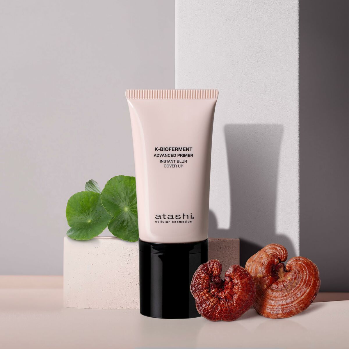 V5HEB2C62AAD22078BAECED027D56ECFEAER5674940P2