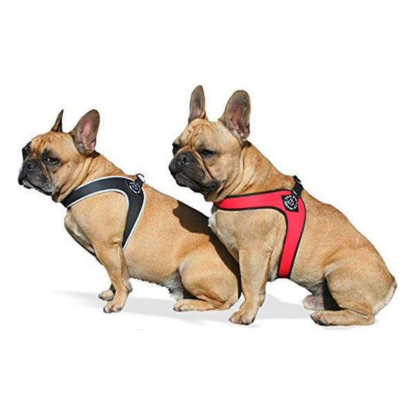 Hundesele T200-3.5B Liten Svart (Fikset A+)