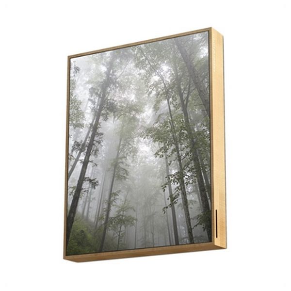 Trådløs Bluetooth-Høyttaler Energy Sistem Forest 447534 50W