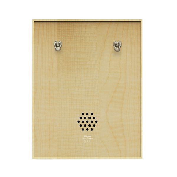 Trådløs Bluetooth-Høyttaler Energy Sistem Forest 447534 50W