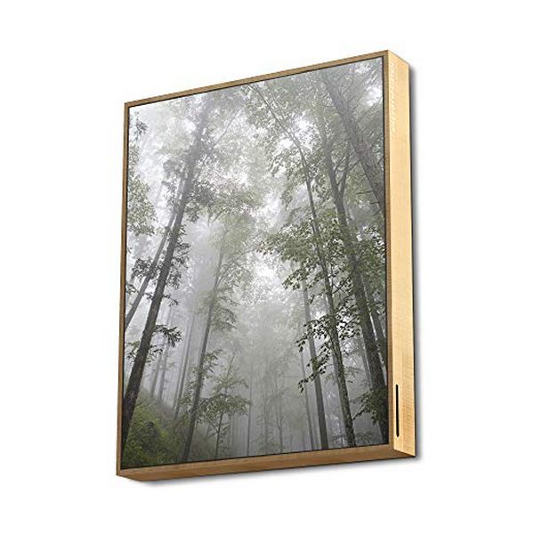 Trådløs Bluetooth-Høyttaler Energy Sistem Forest 447534 50W