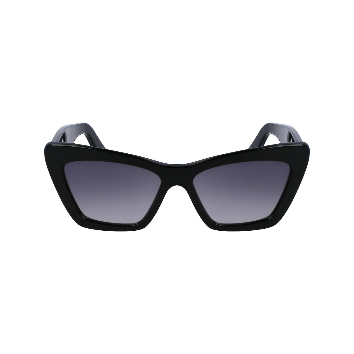 V1HD7CA972BDEAC0D12047D8B613FDC7842RP2