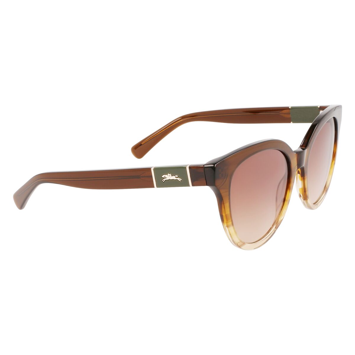 Ladies' Sunglasses Longchamp LO697S-701 Ø 53 mm