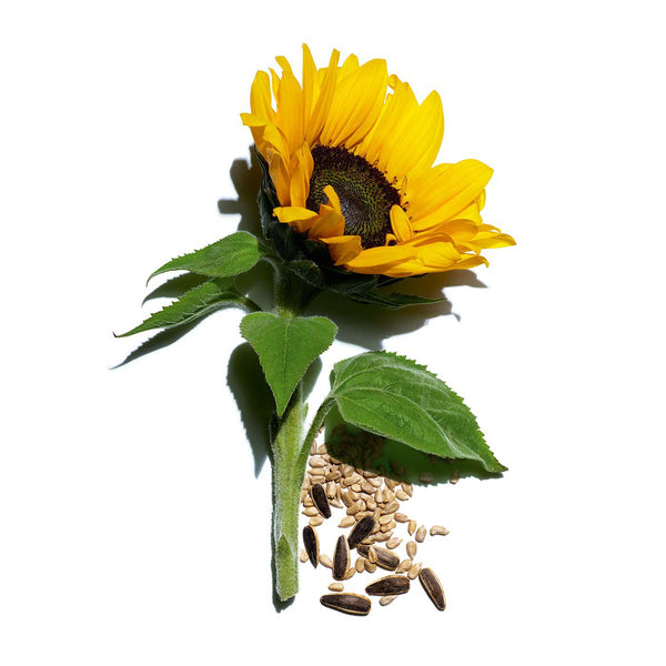 Kroppskrem Clarins Oppstrammende nakke og Dècolletage krem (50 ml)