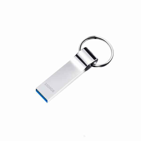 USB-Penn 1 TB (Refurbished D)